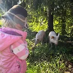 Schoenenbuehl * Hittisau