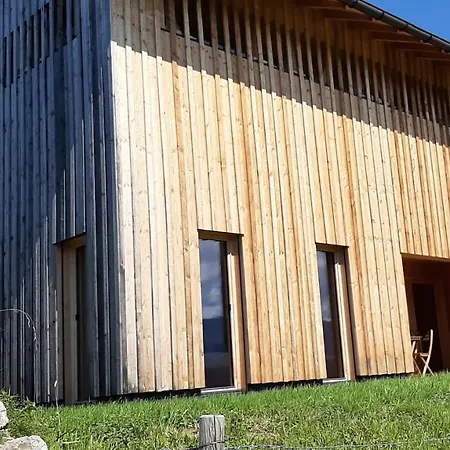 Apartament Schoenenbuehl *