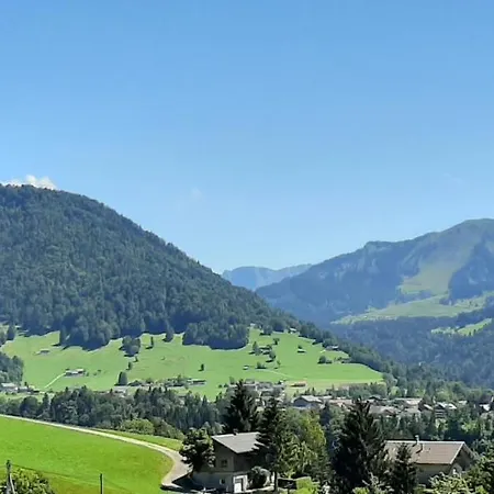 Appartement Schoenenbuehl *