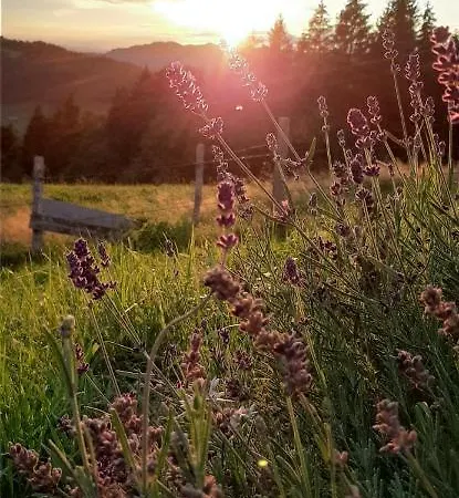 Schoenenbuehl *