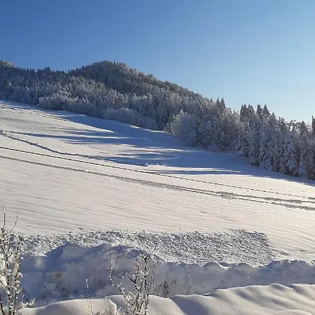 Schoenenbuehl Apartment *