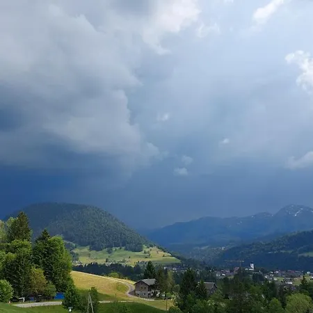 Апартаменты Schoenenbuehl *