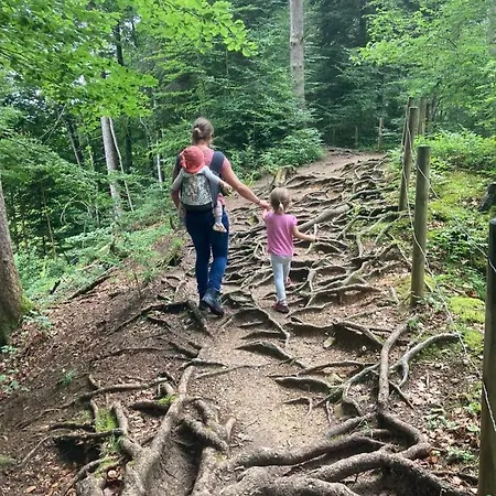 Schoenenbuehl Hittisau
