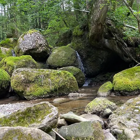 Schoenenbuehl Apartment Hittisau