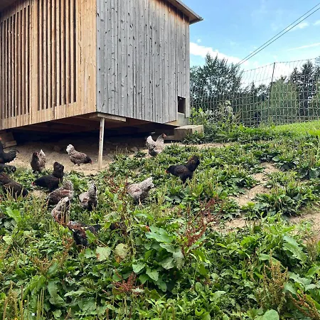 Schoenenbuehl Apartment *