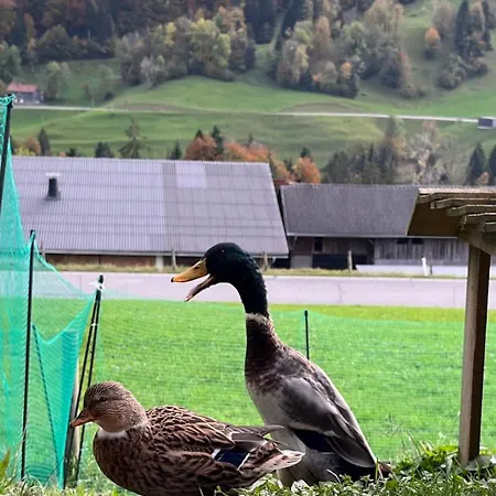 Schoenenbuehl