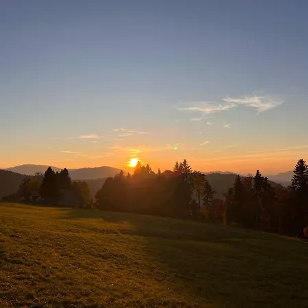 Апартаменты Schoenenbuehl *