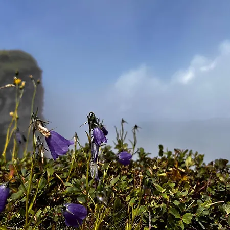 Schoenenbuehl * Hittisau