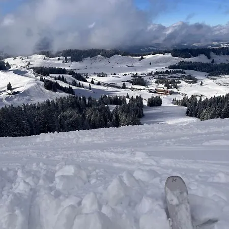 Апартаменты Schoenenbuehl *