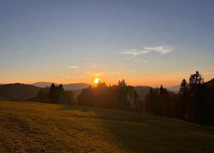 Διαμέρισμα Schoenenbuehl *